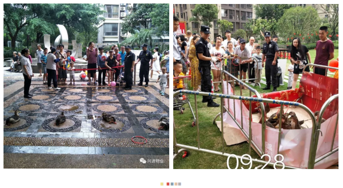 QQ截圖20180925104644.png