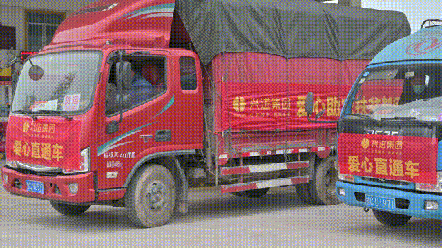 1.gif 1.gif