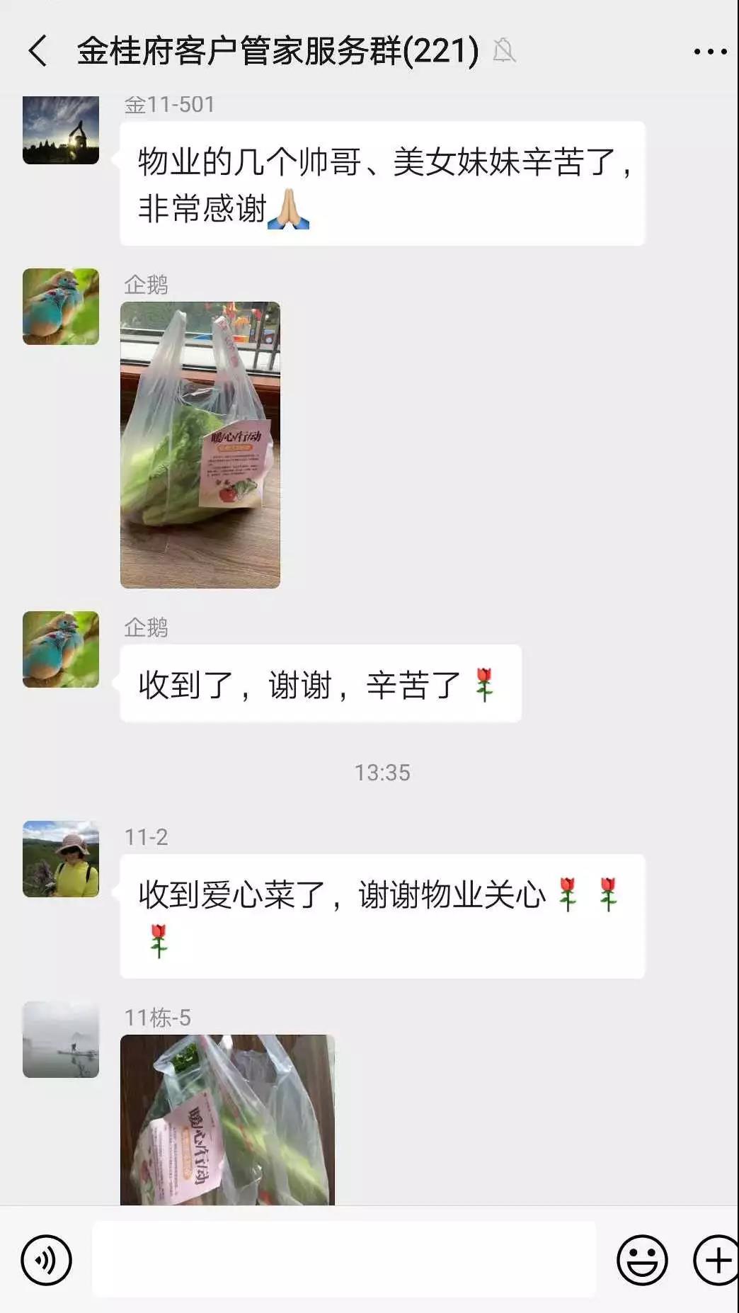 15.jpg 15.jpg