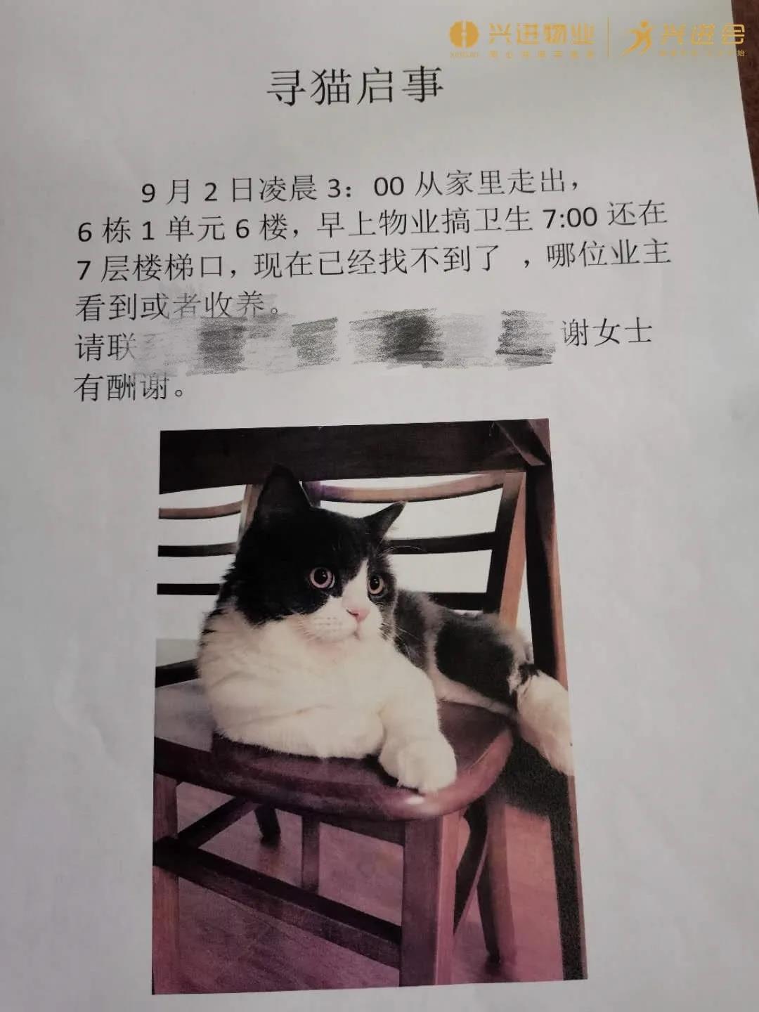 2.jpg 2.jpg